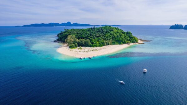 Phi Phi Islands + Maya + Bamboo Island by Speedboat